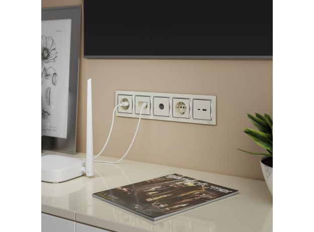 ТВ розетка оконечная  (слоновая кость) W1183003