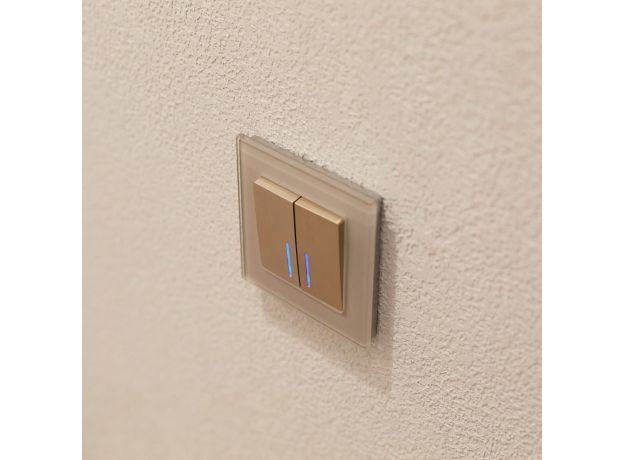 Выключатель двухклавишный проходной с подсветкой (шампань рифленый) W1122110