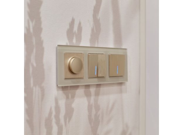 Выключатель двухклавишный с подсветкой (шампань рифленый) W1120110