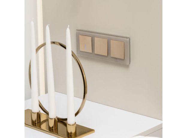 Выключатель одноклавишный проходной с подсветкой (шампань рифленый) W1112110