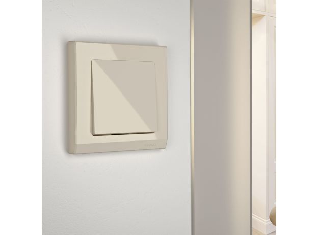 Выключатель одноклавишный (слоновая кость) W1110003