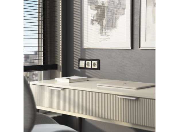 Выключатель одноклавишный (слоновая кость) W1110003