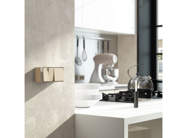 Выключатель двухклавишный влагозащищенный Gallant (шампань рифленый) W5020210