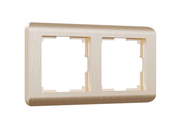 Рамка из поликарбоната на 2 поста Stream шампань W0022111