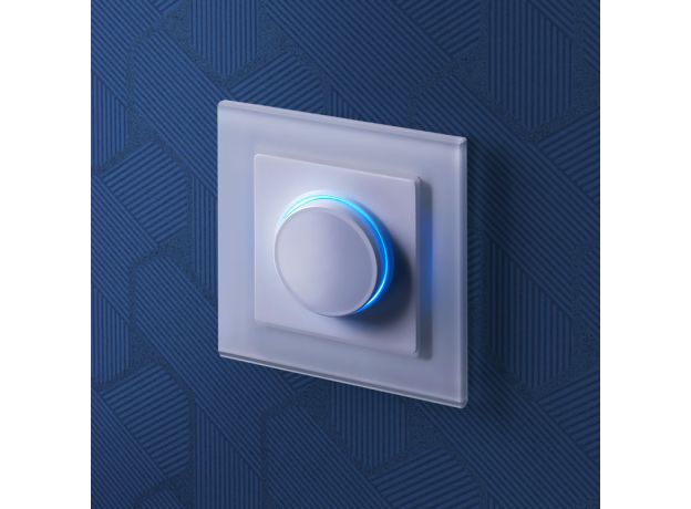 Диммер с подсветкой (белый) W1142101