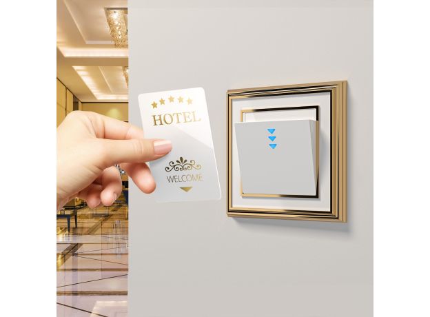 Электронный карточный выключатель (белый) W1153101