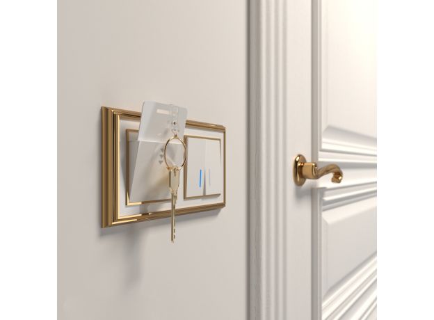 Электронный карточный выключатель (белый) W1153101