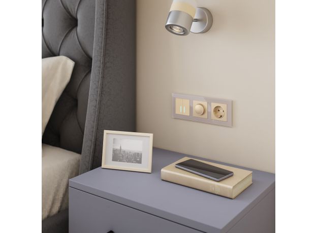 Розетка с заземлением и шторками (шампань) W1171111