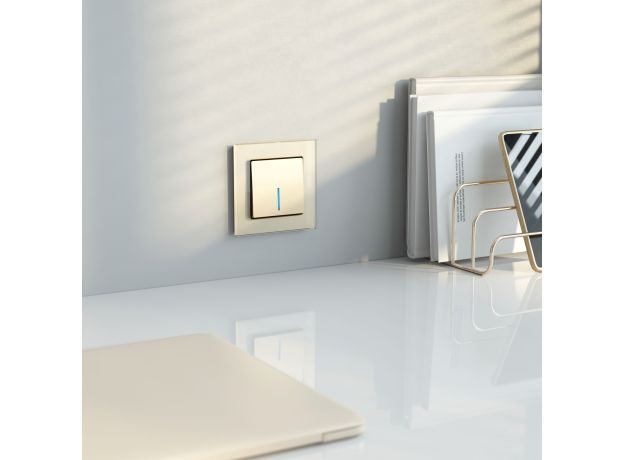 Выключатель одноклавишный с подсветкой (шампань) W1110111