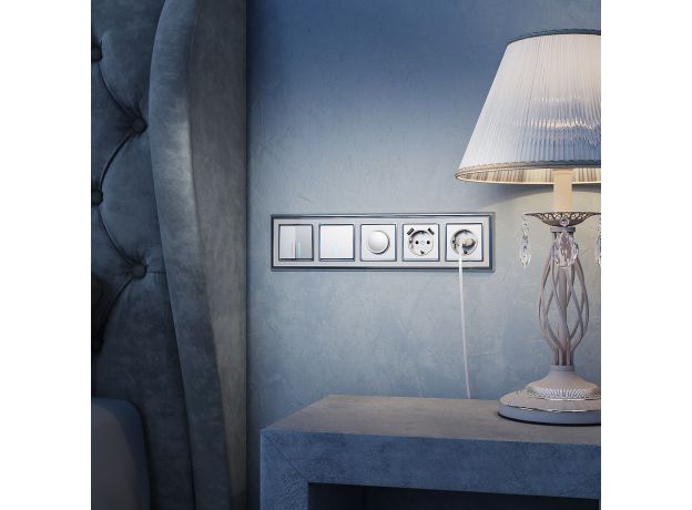 W1171506/ Розетка с заземлением, шторками и USBх2 (серебряный) W1171506