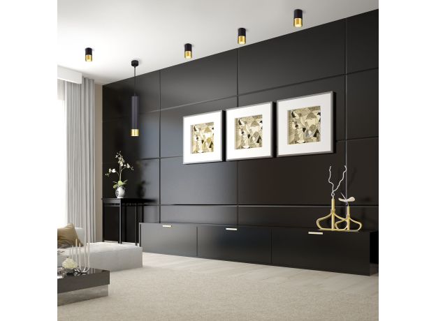 Накладной потолочный светильник DLN106 GU10