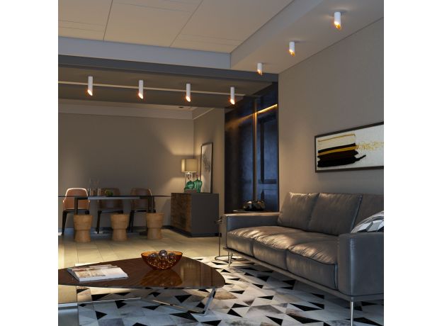 Накладной потолочный светильник DLN114 GU10