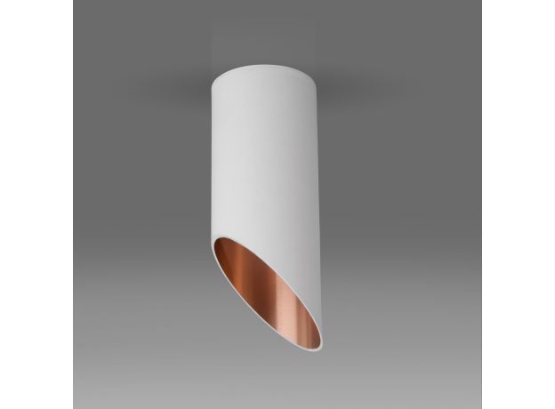 Накладной потолочный светильник DLN114 GU10