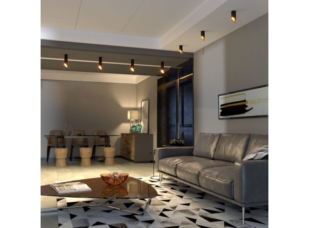 Накладной потолочный светильник DLN115 GU10