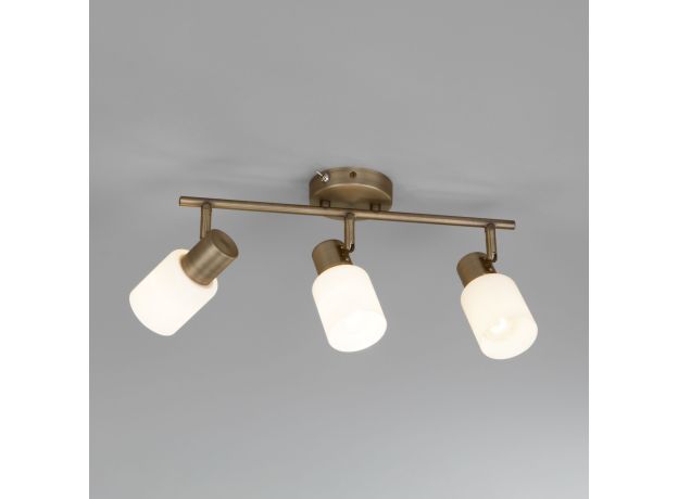 Настенный светильник с поворотными плафонами 20089/3 бронза