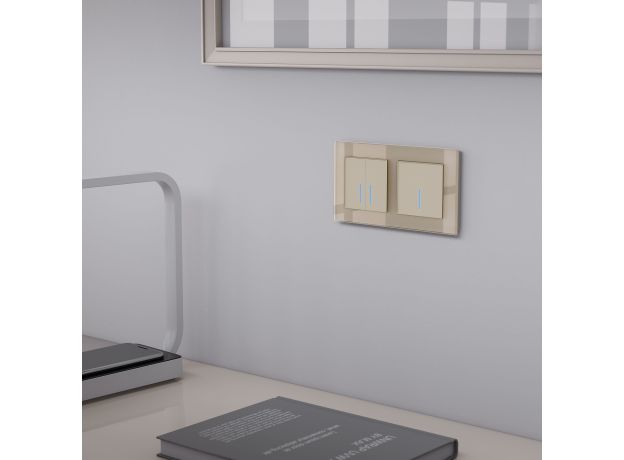 Умный сенсорный выключатель двухклавишный W4520611