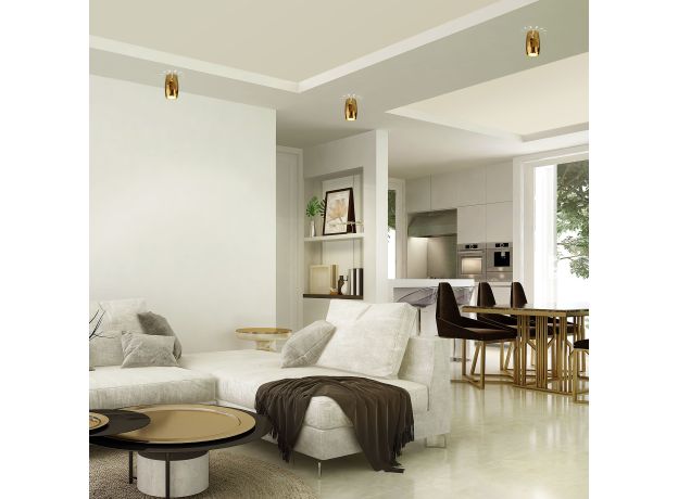 Накладной потолочный светильник DLN104 GU10