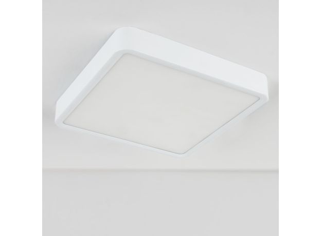 Накладной потолочный светодиодный светильник DLS034 18W 4200K