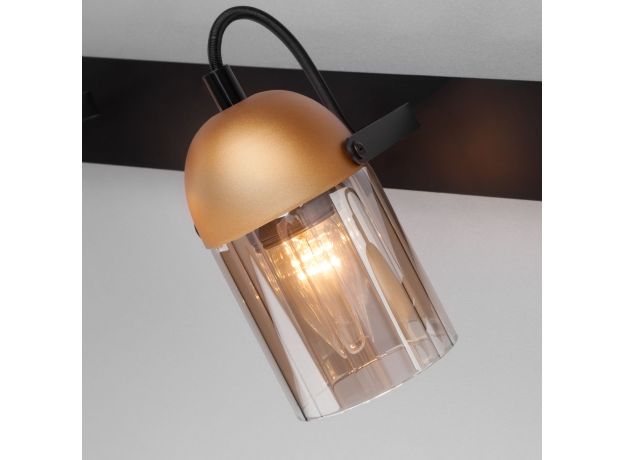 Настенный светильник с поворотными плафонами 20122/3 черный/золото