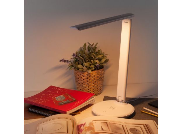 Настольный светодиодный светильник Brava белый TL90530