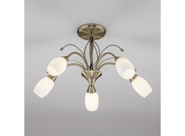 Потолочная люстра со стеклянными плафонами 30280/5