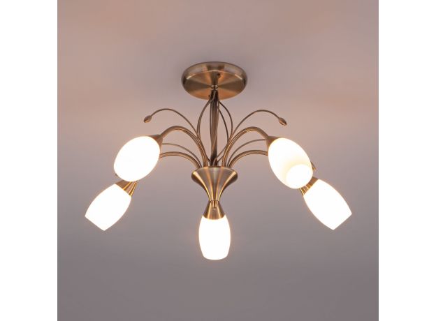 Потолочная люстра со стеклянными плафонами 30280/5