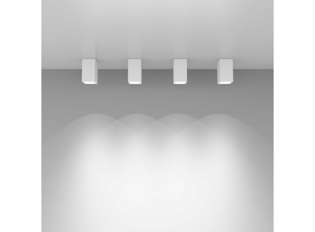 Накладной потолочный светильник 1085 GU10 WH белый матовый