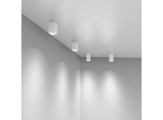 Накладной потолочный светильник 1085 GU10 WH белый матовый