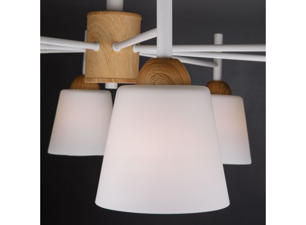 Люстра потолочная с плафонами 70085/8 белый