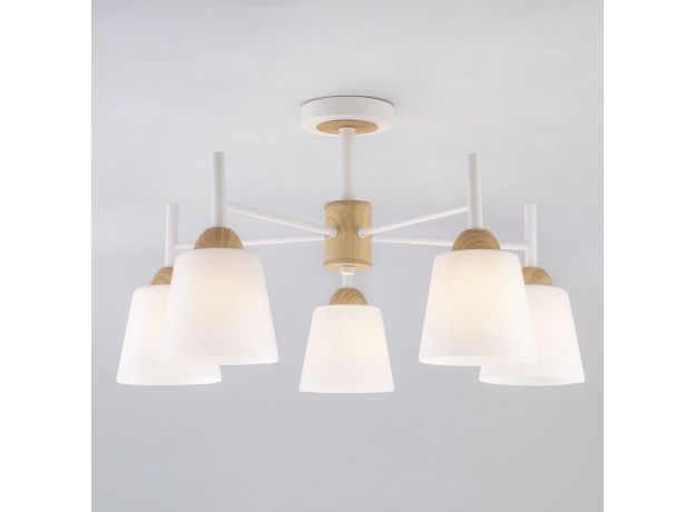 Потолочная люстра со стеклянными плафонами 70085/5 белый