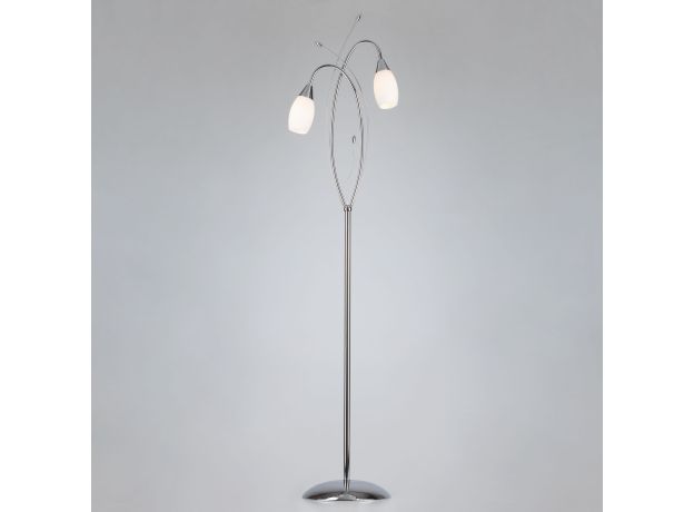 Торшер со стеклянными плафонами 22080/2F хром