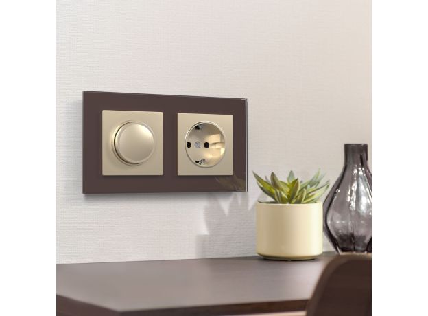 Диммер шампань W1142011