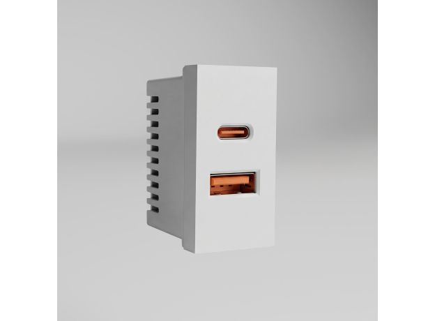 W1272701/ Модульная розетка USB тип A+C 45*22,5 (белый) W1272701