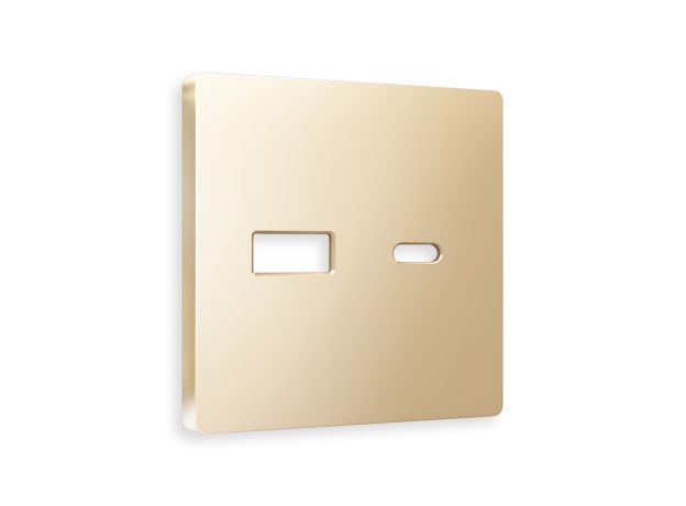 AP6110 Лицевая панель ALFA (Шампань) для розетки 2USB тип A+C QUANT