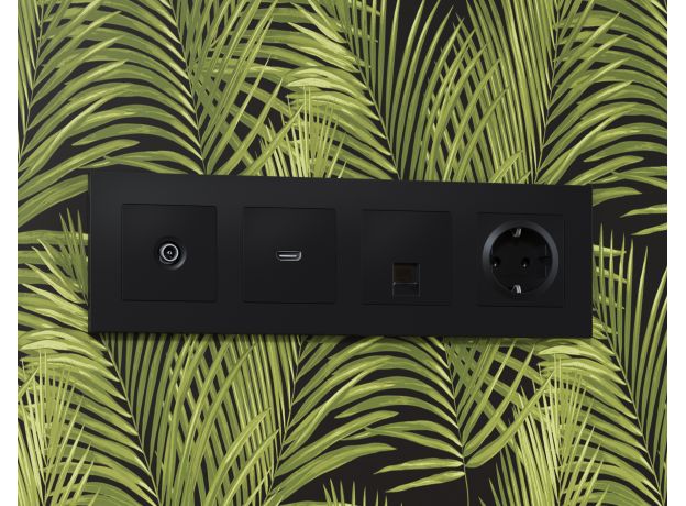 AP8120 Лицевая панель ALFA (Черный матовый) для компьютерной/телефонной розетки RJ-45/RJ-11 QUANT