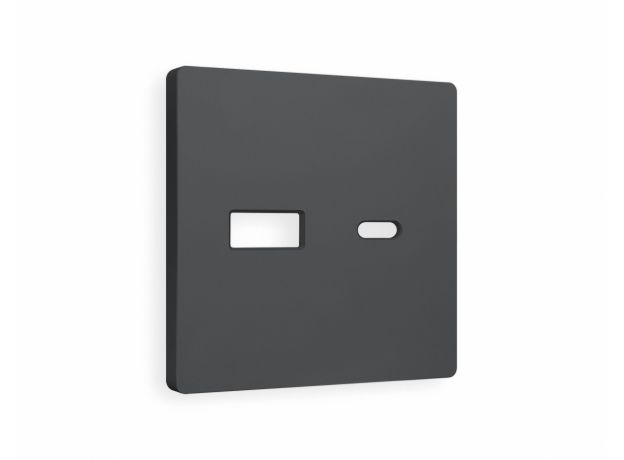 AP9110 Лицевая панель ALFA (Графит Мягкое касание) для розетки 2USB тип A+C QUANT