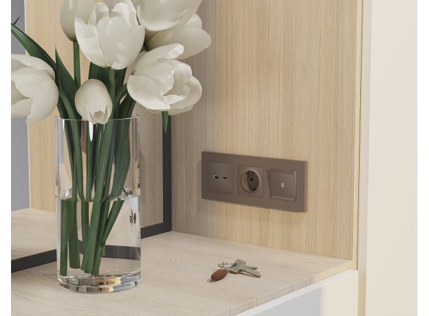MA641010 Комплект механизма розетки ALFA Темная бронза матовый 2USB A+C 20W (быстрая зарядка) QUANT (AP6410, VM177)