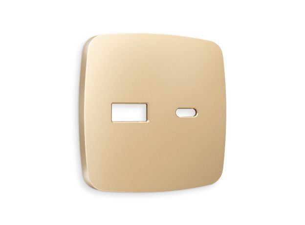 OP6110 Лицевая панель OMEGA (Шампань) для розетки 2USB тип A+C QUANT